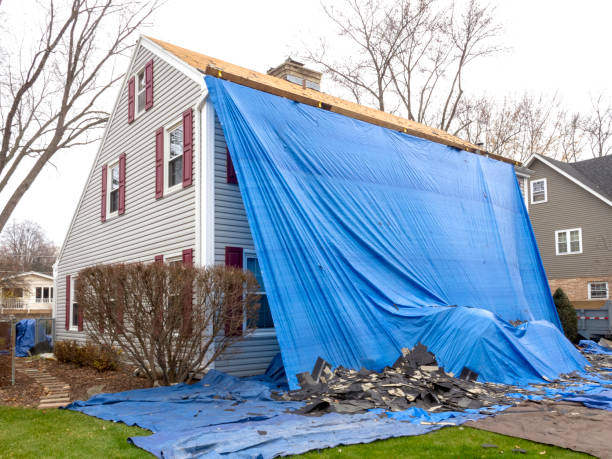 Best Historical Building Siding Restoration  in Cherry Hill, VA